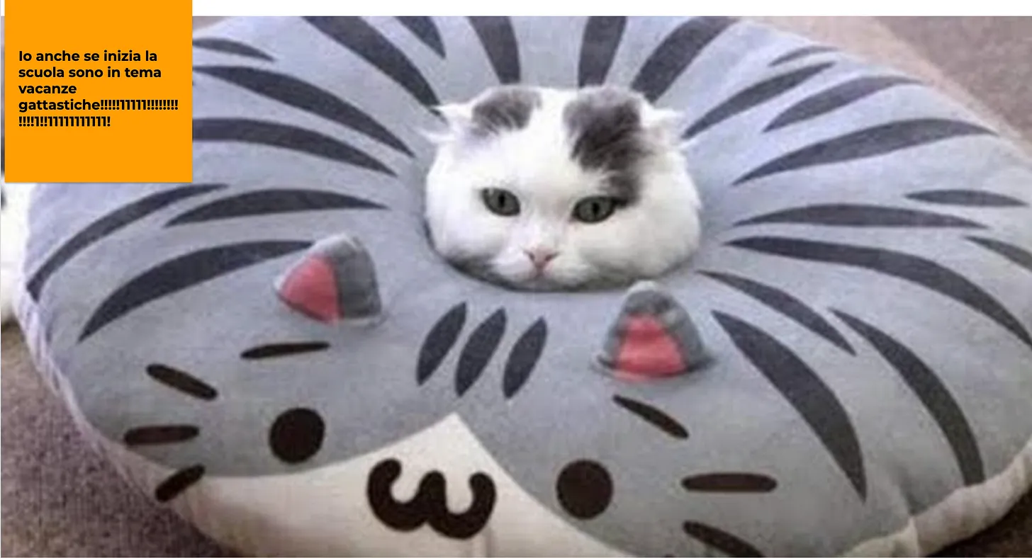 Alcune delle Jamboard di mia figlia. Sì è il caos.